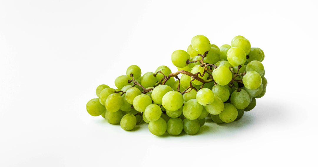 Sagrantino grapes on the vine