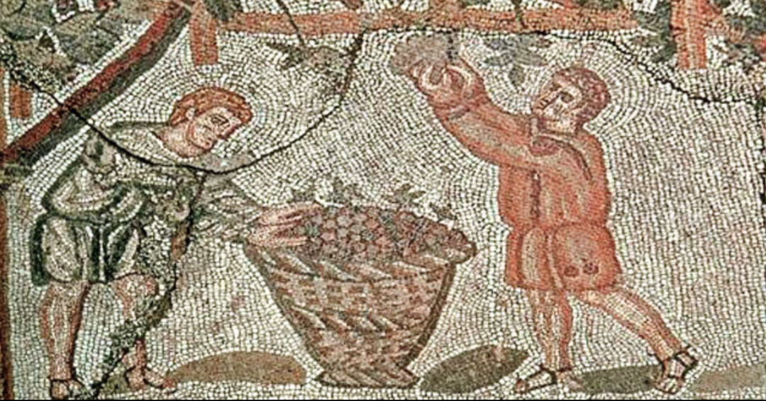 Roman mosaic of grape harvest